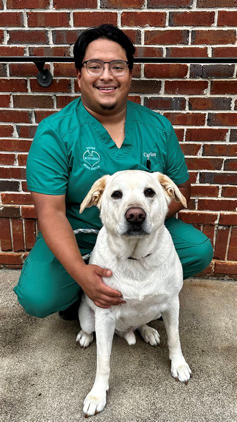 Bartow animal hospital - BARTOW ANIMAL HOSPITAL - Updated March 2024 - 17 Photos & 31 Reviews - 124 S Morningside Dr, Cartersville, Georgia - Veterinarians - Phone Number - Yelp. Bartow Animal Hospital. 3.4 (31 reviews) Claimed. Veterinarians, Pet Groomers, Pet Boarding. Closed 7:30 AM - 6:00 PM. See hours. See all 17 photos. Write a review. Add photo. 